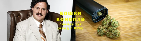 тгк Няндома