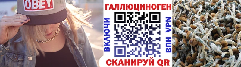 Псилоцибиновые грибы MAGIC MUSHROOMS  купить   Белогорск 